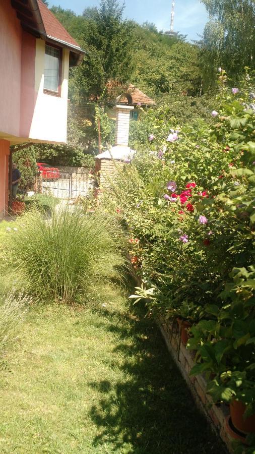 Apartman House Annesa SJJ Exterior photo