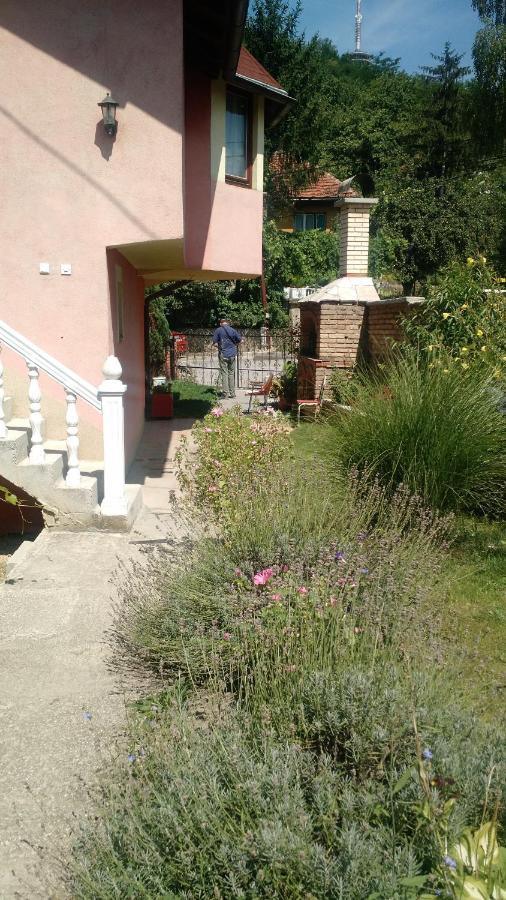 Apartman House Annesa SJJ Exterior photo